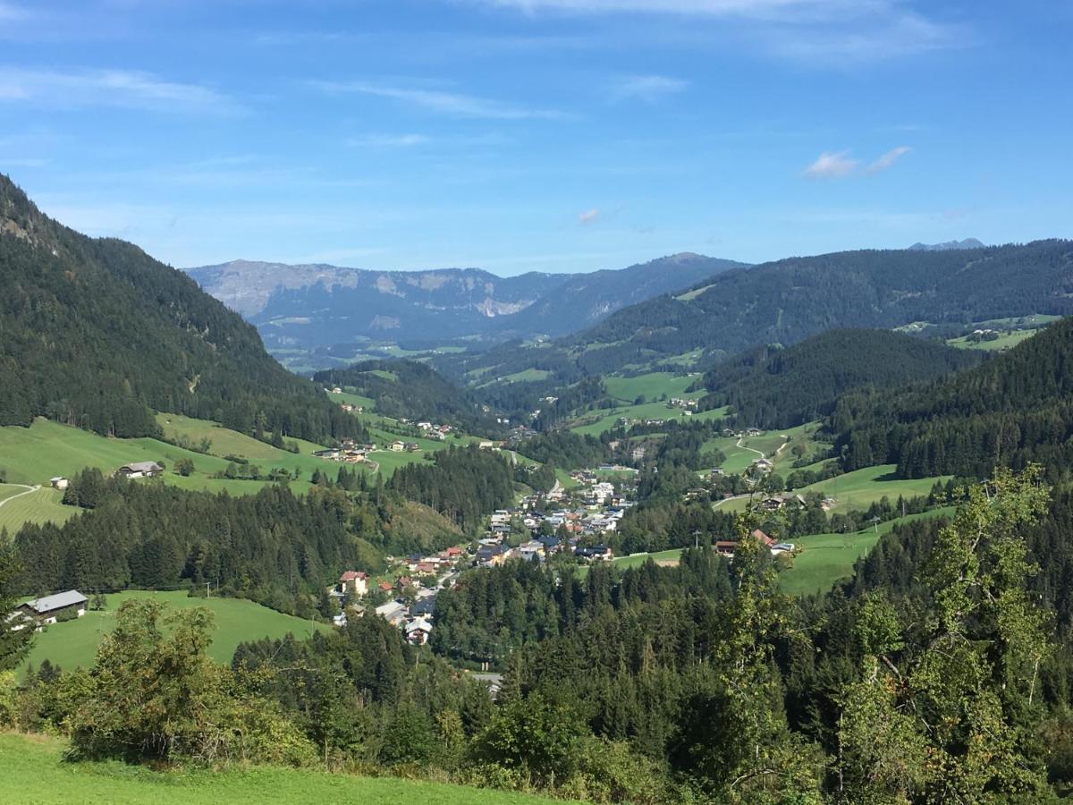 Apartment Kraemerhaus Annaberg, Dachstein West Bagian luar foto